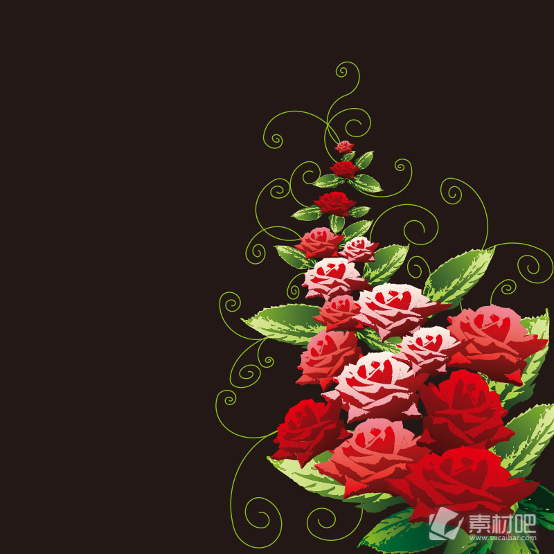 黑色主题红色情人节玫瑰背景矢量素材