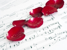 乐谱上的红色爱情花瓣高清图片