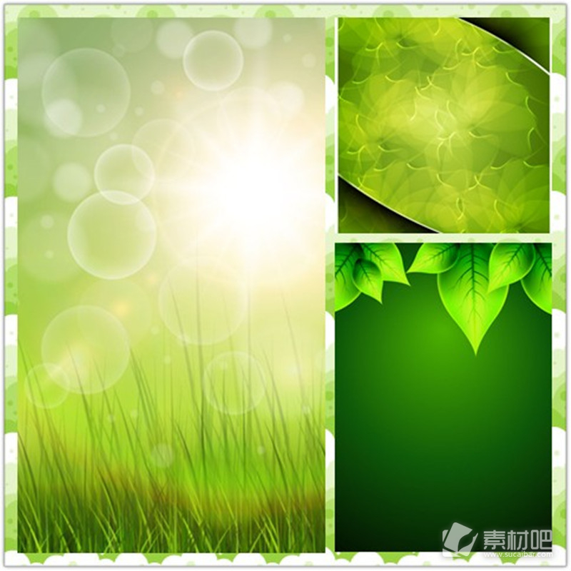 清新色彩绿色植物背景矢量素材