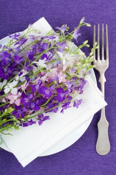 紫色漂亮花朵高清图片