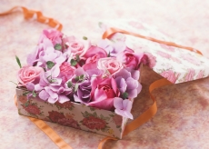 粉色玫瑰浪漫礼盒高清图片