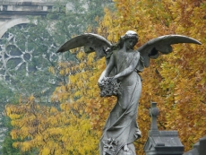 欧洲天使雕塑桌面壁纸