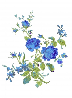 蓝色创意漂亮花朵高清图片