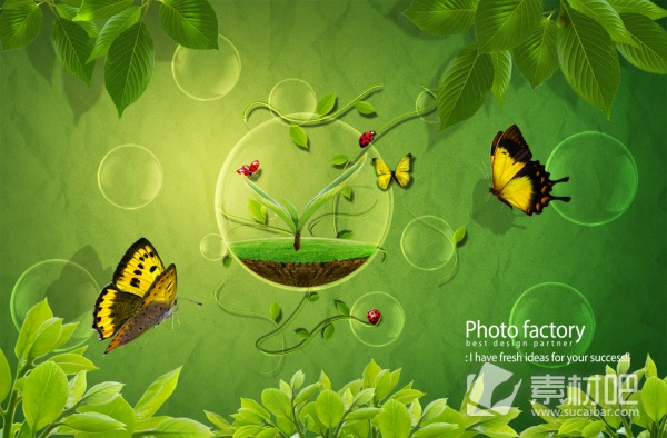 绿色背景的美丽蝴蝶照片PSD素材
