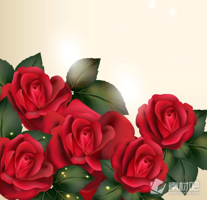红色玫瑰花朵漂亮矢量素材