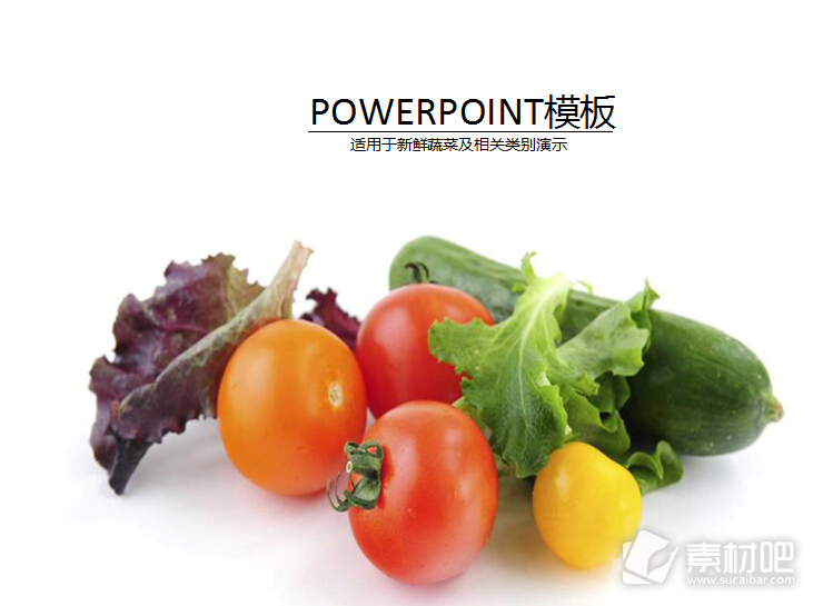 健康营养蔬菜人物生活PPT模板