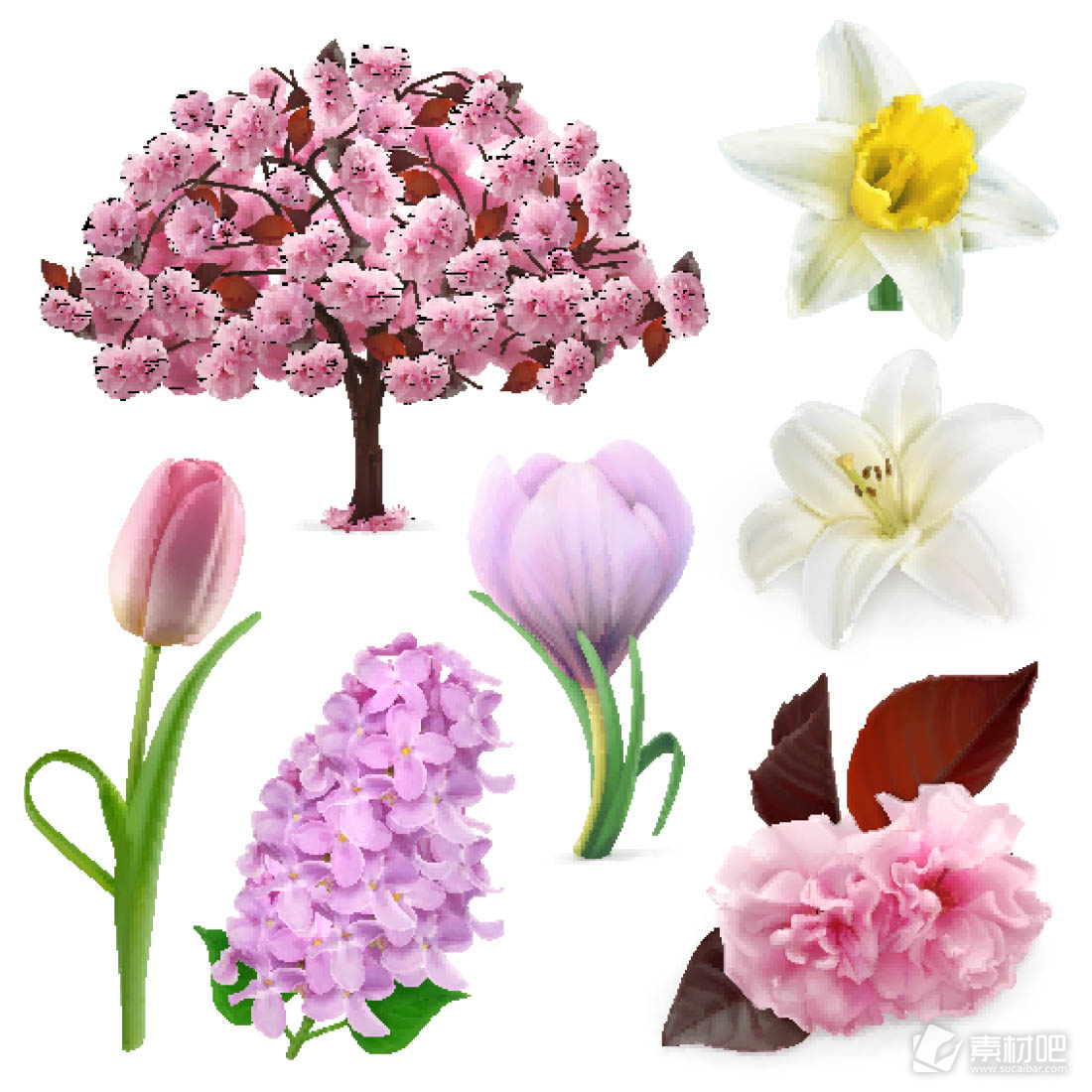 粉色花朵植物矢量素材