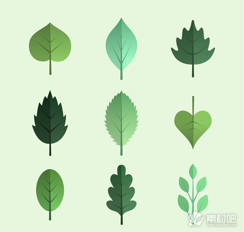 绿色树叶矢量图片 AI
