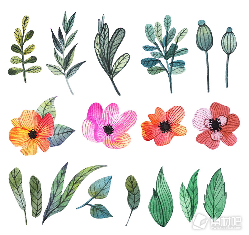 18款彩绘花朵和叶子矢量素材