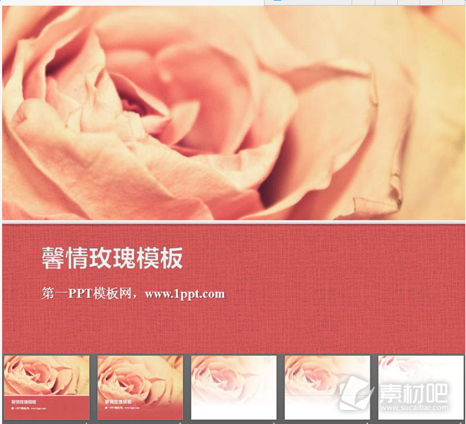 粉色烂漫玫瑰花背景的植物幻灯片模板