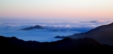雾锁阳明山风景图片