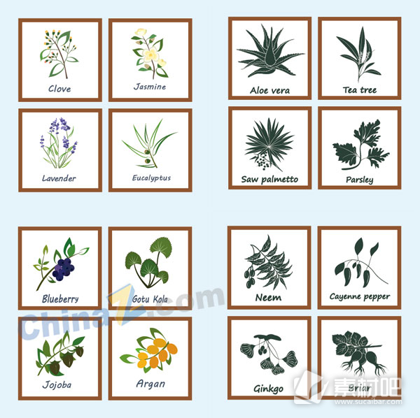 矢量植物图标设计