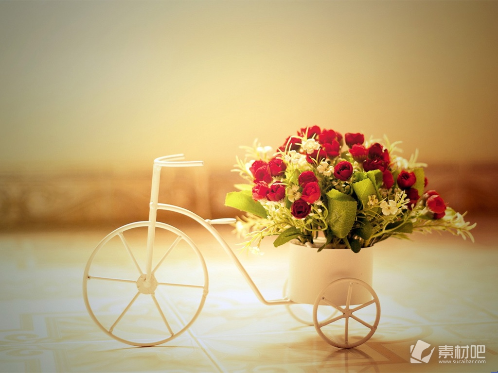 满载玫瑰的白色自行车ppt背景图片