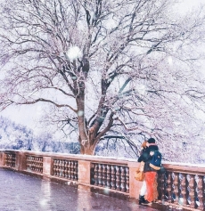 风雪中的俄罗斯美景图片