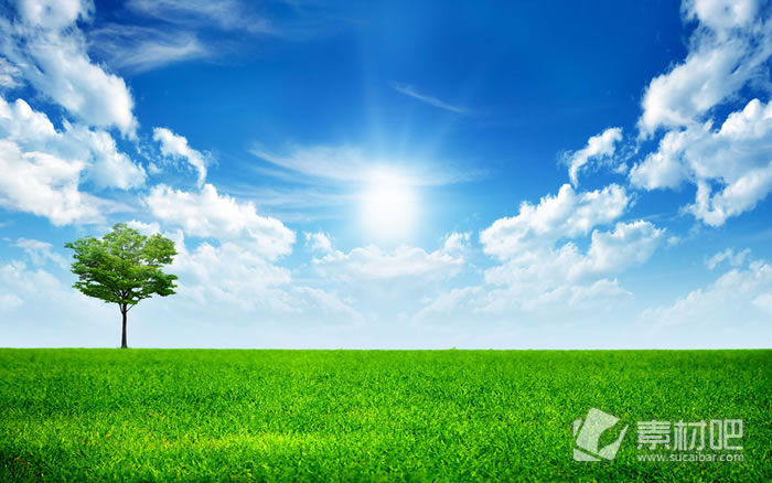 绿草地上的一棵树蓝天白云ppt背景图片