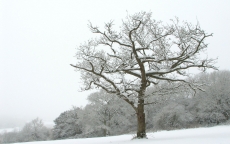 精选冬日雪景风景图片高清电脑壁纸