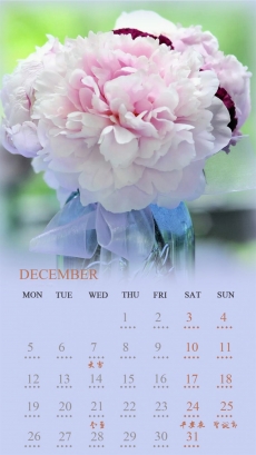 2016年12月份唯美花朵日历手机壁纸