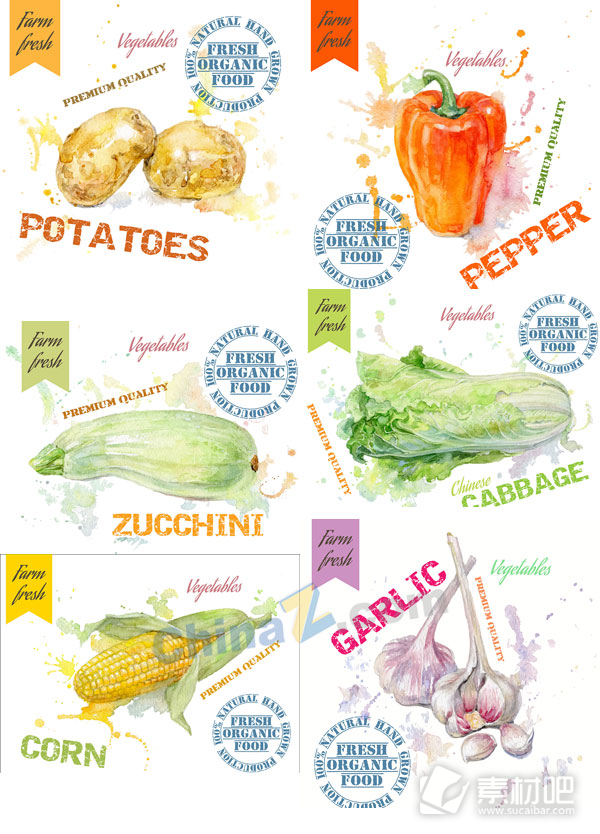 蔬菜绘画设计矢量图