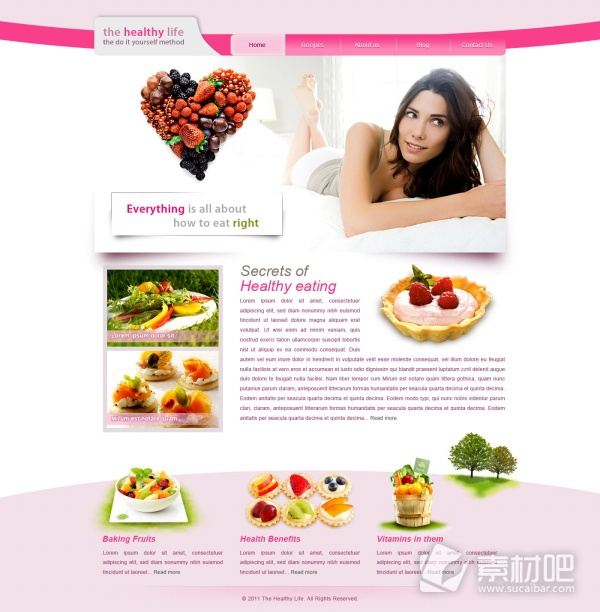 健康美容网站设计PSD素材