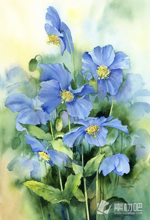 蓝色花卉矢量图
