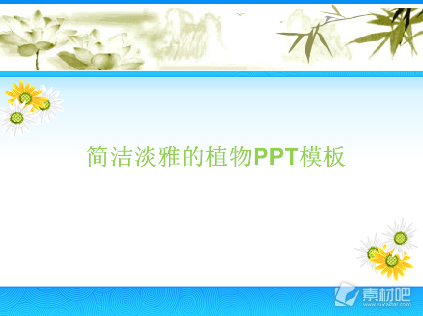 淡雅菊花背景植物PPT模板