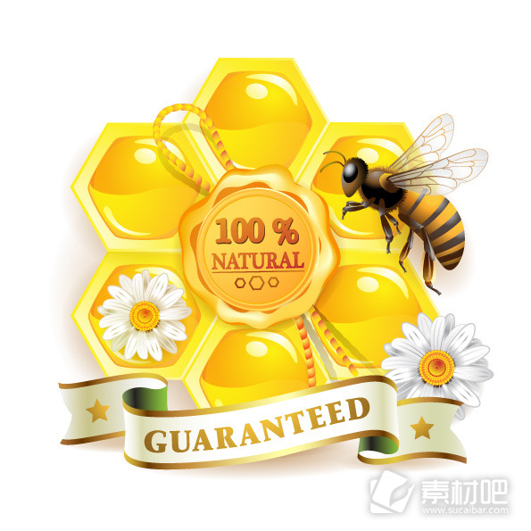 矢量素材蜜蜂与蜂蜜