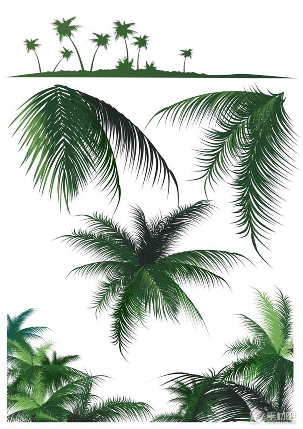 绿色椰子树矢量图