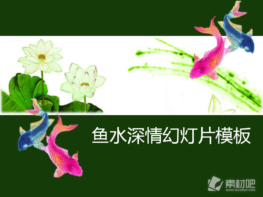 鲤鱼荷花背景的中国风ppt模板