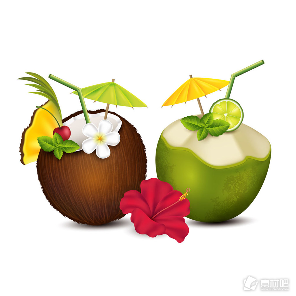扶桑花和椰子图片