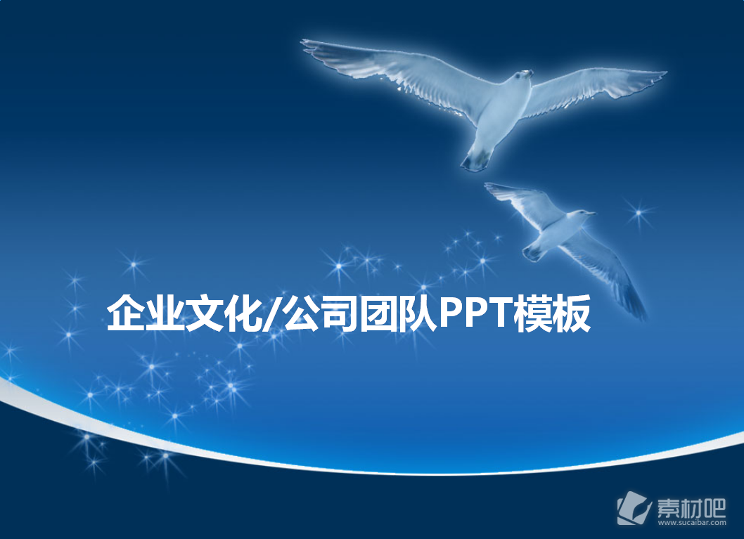 海鸥展翅翱翔适合团队介绍企业文化展示的ppt模板