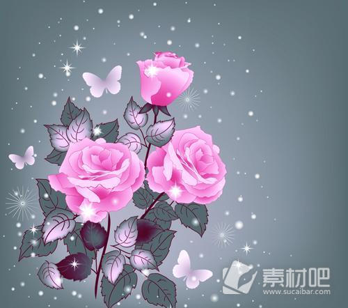 粉红色的玫瑰花