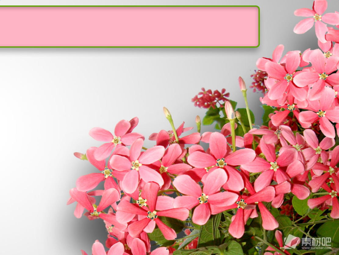 鲜花背景植物主题PPT模板下载