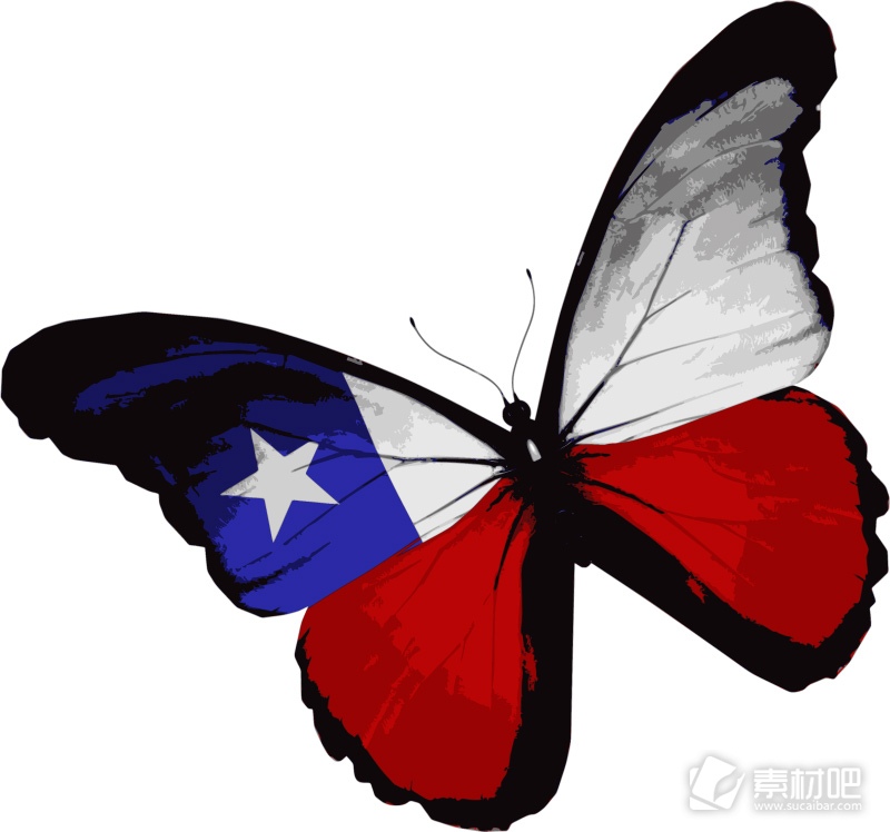 美国国旗图案蝴蝶设计矢量图
