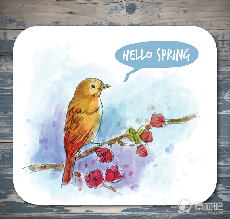水彩绘春季花枝上的鸟矢量素材