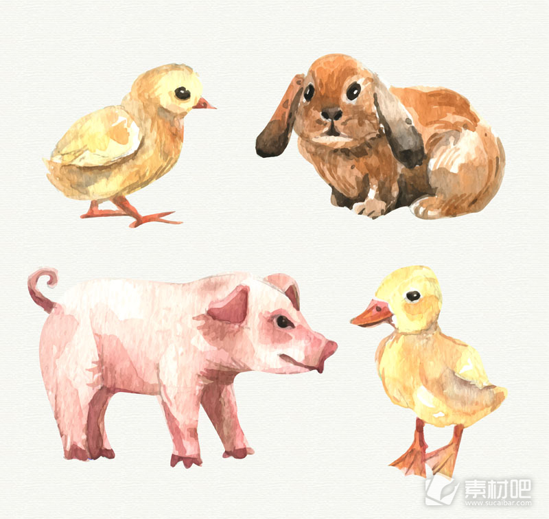4款水彩绘农场动物矢量素材