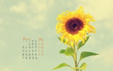2017年3月小清新简约花卉植物日历壁纸