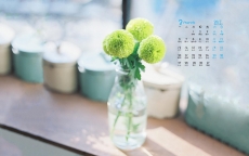 2017年3月清新淡雅的室内花卉日历壁纸