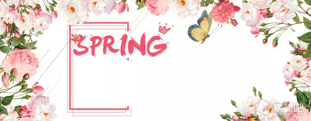 春节鸟语花香淘宝海报背景 粉色花朵