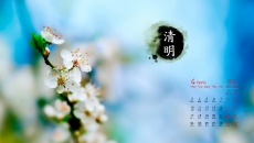 2017年4月清明节高清唯美绿色植物护眼日历壁纸