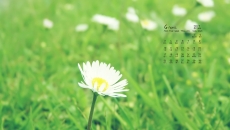 2017年4月清新绿色小植物日历壁纸