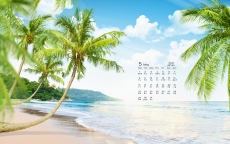 2017年5月海边椰树摄影高清日历壁纸