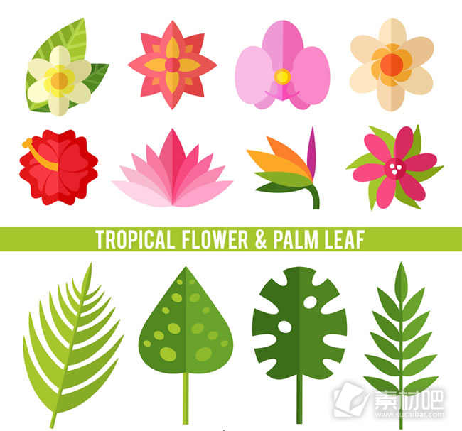 12款热带植物花卉和棕榈叶矢量素材