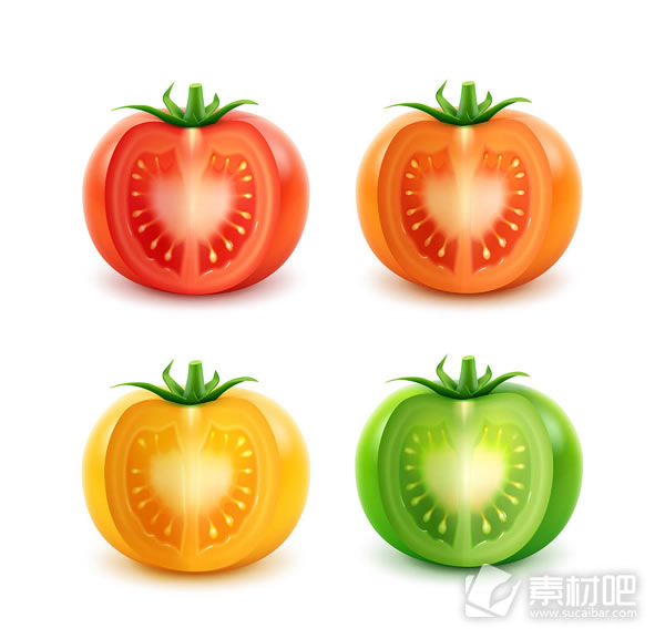 不同颜色的西红柿矢量素材