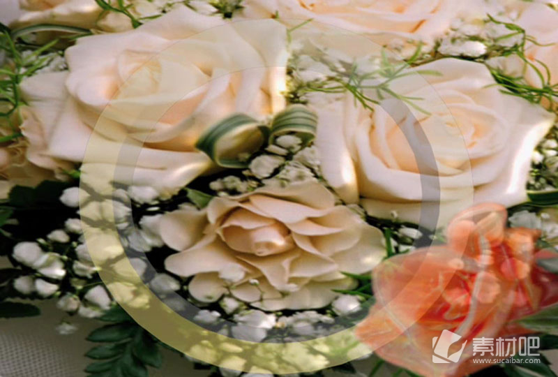 玫瑰元素花卉视频背景
