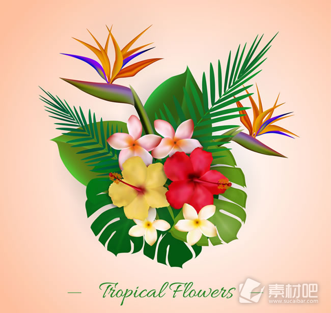 彩色热带植物花束矢量图