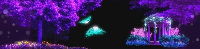 紫色梦幻森林蝴蝶3D视频