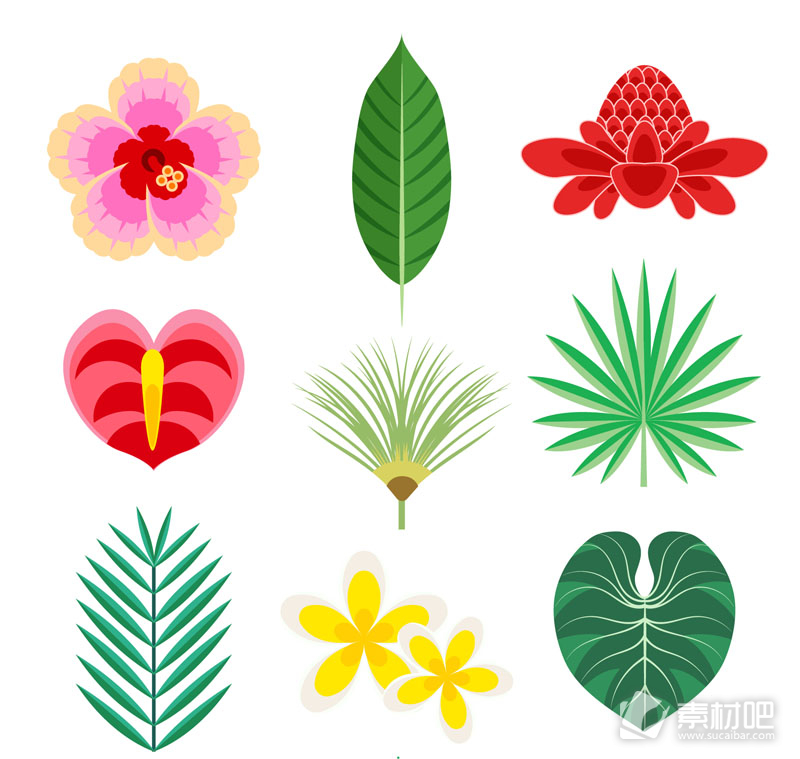 9款彩色热带花卉和叶子矢量素材