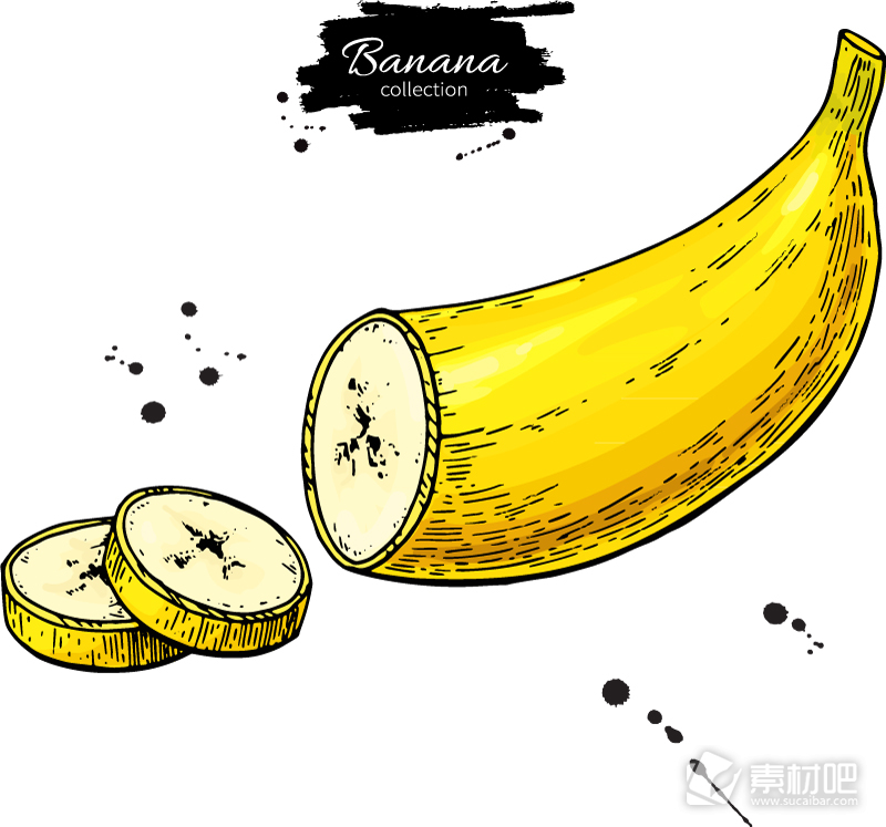 切片的黄色香蕉和墨迹矢量素材