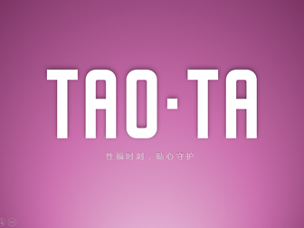 简约时尚大气风TAOTA产品发布会ppt模板