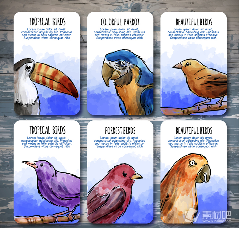 6款彩绘热带鸟类卡片矢量素材